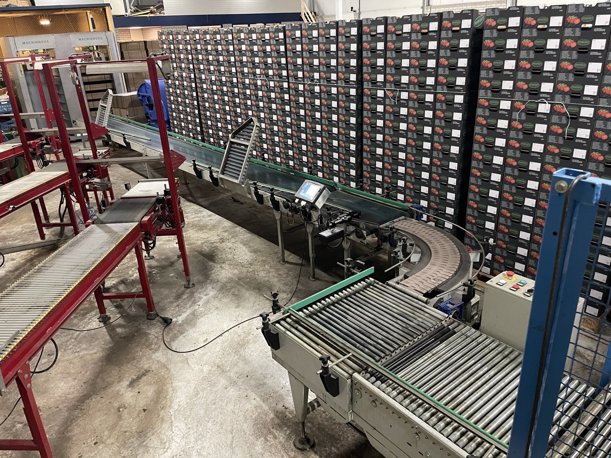 Complete Taks TTS vine tomato processing system