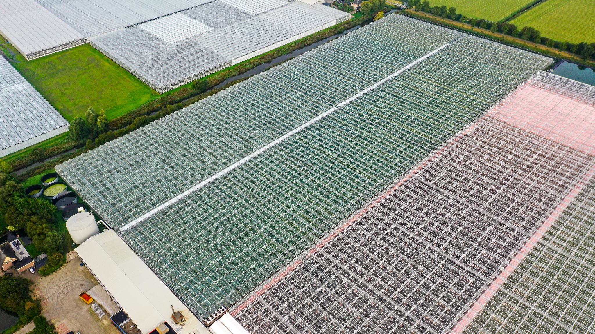 Venlo greenhouse 8,00 m 52.080 m²