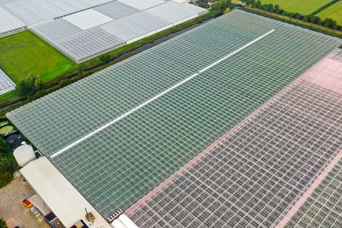 Venlo kas 8,00 m 52.080 m²