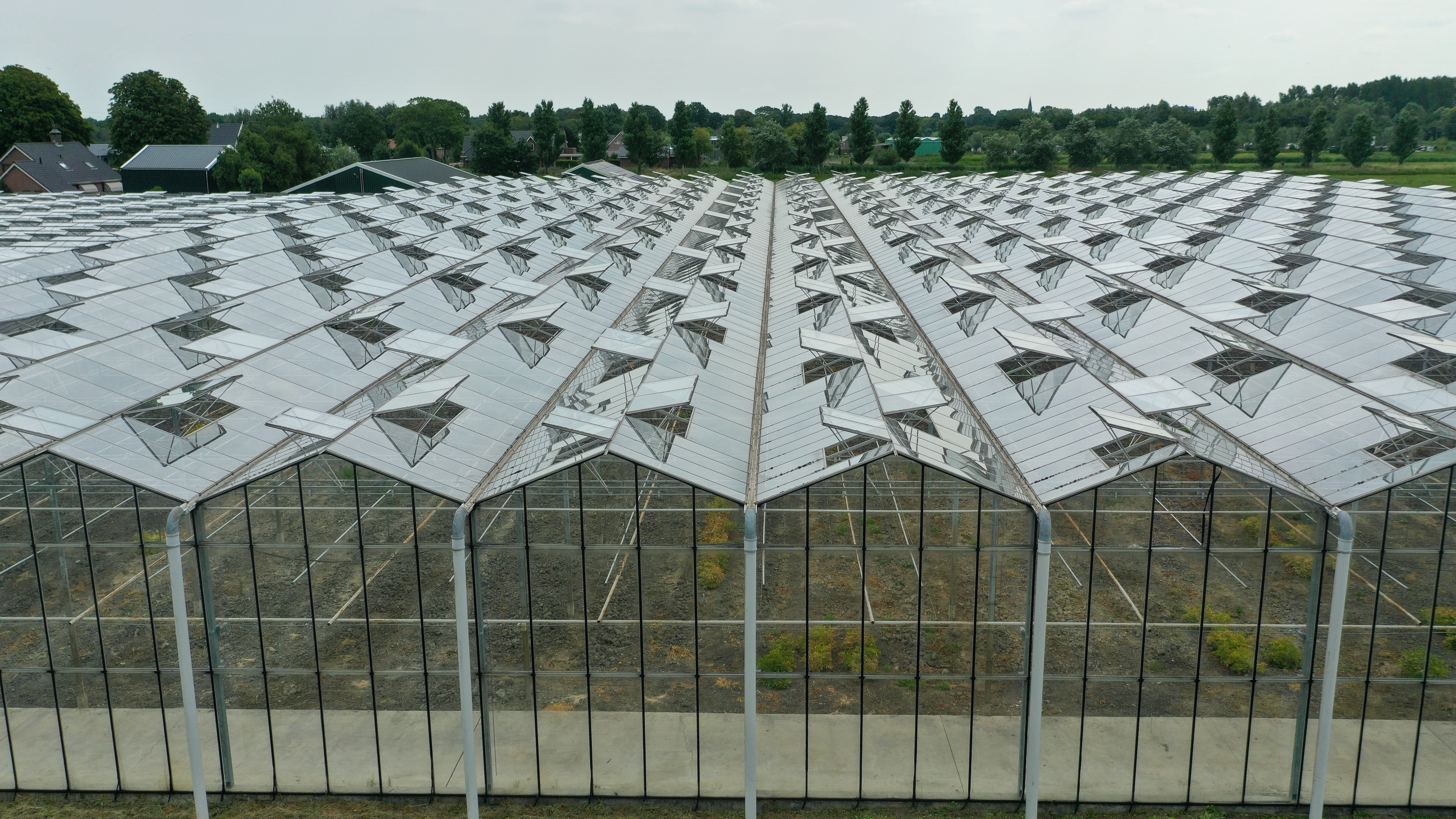 Venlo greenhouse 8,00 m 7.506 m²
