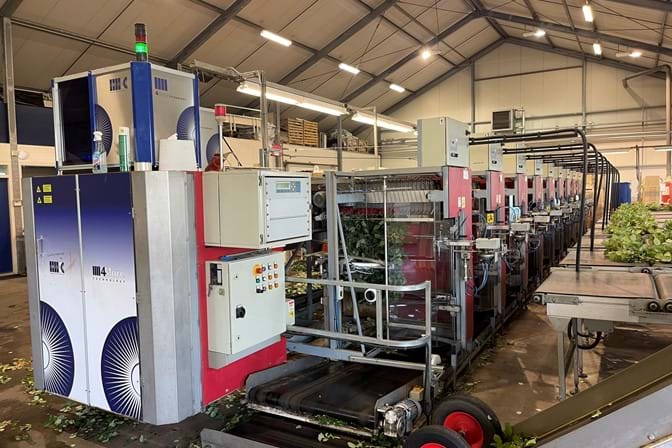 Aweta rose grading machine incl. IRISS sorting system & sealer ...