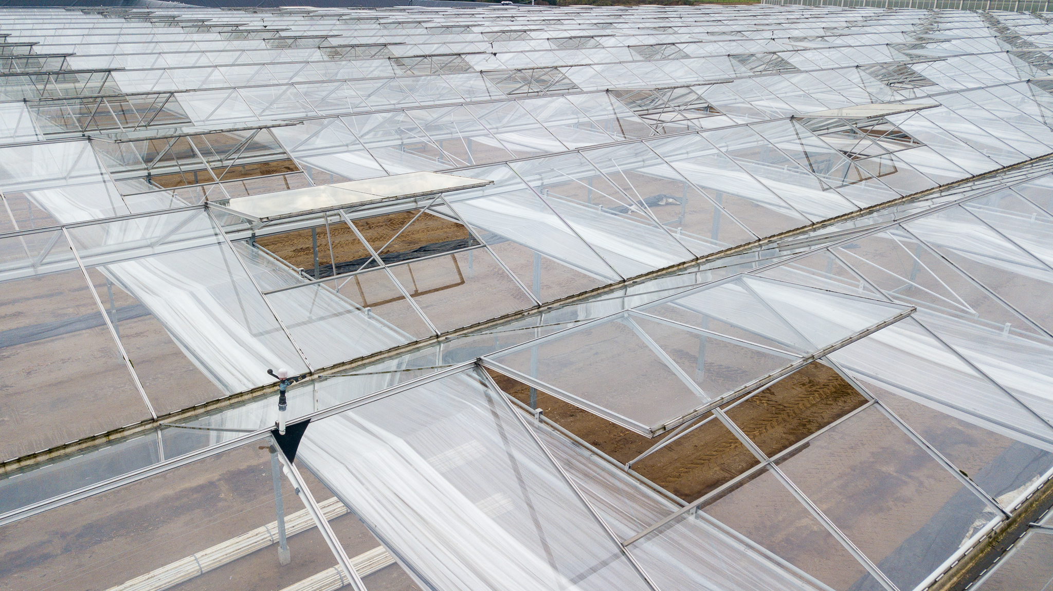 Venlo greenhouse 8,00 m 9.918 m²