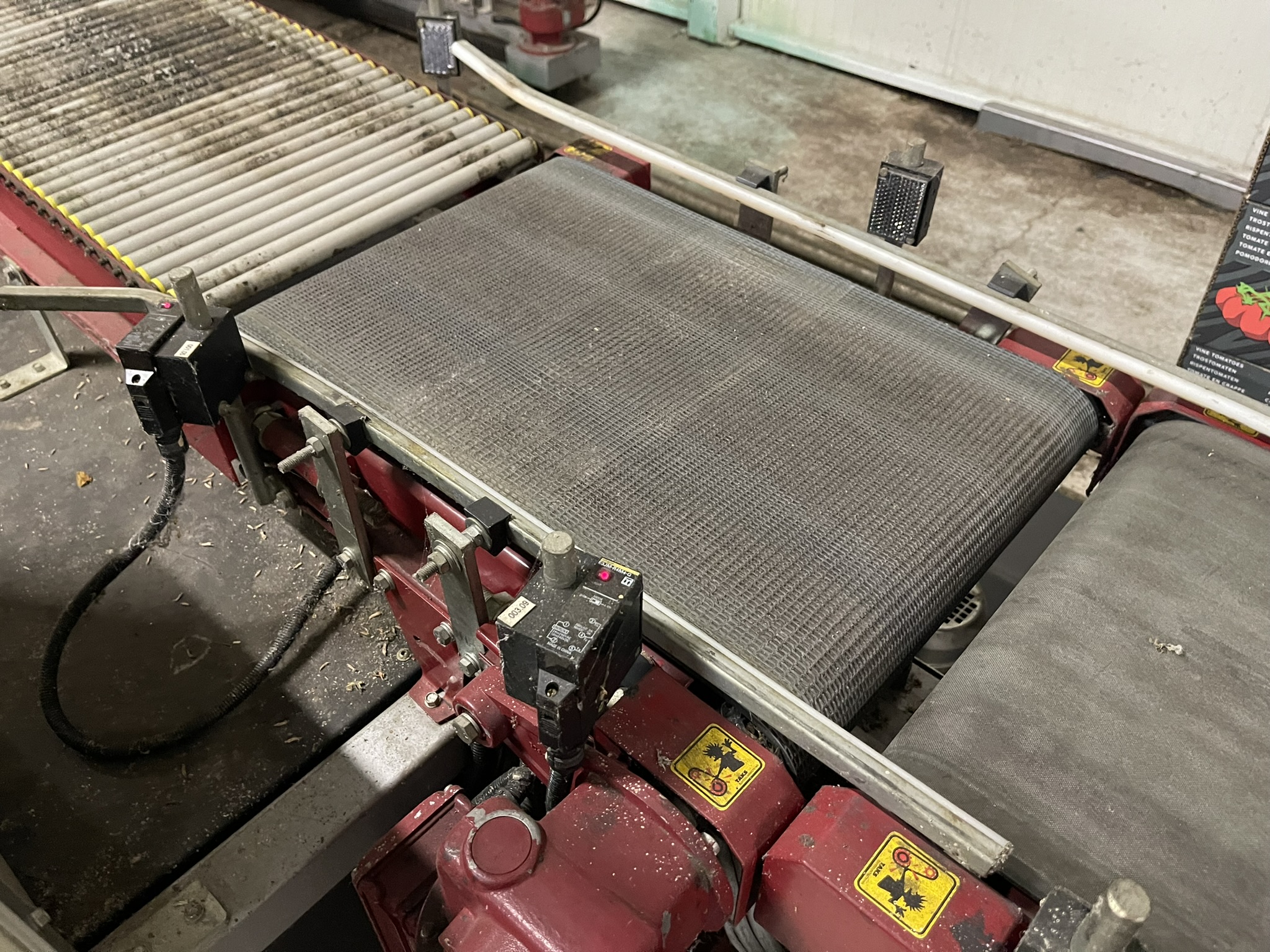 Complete Taks TTS vine tomato processing system