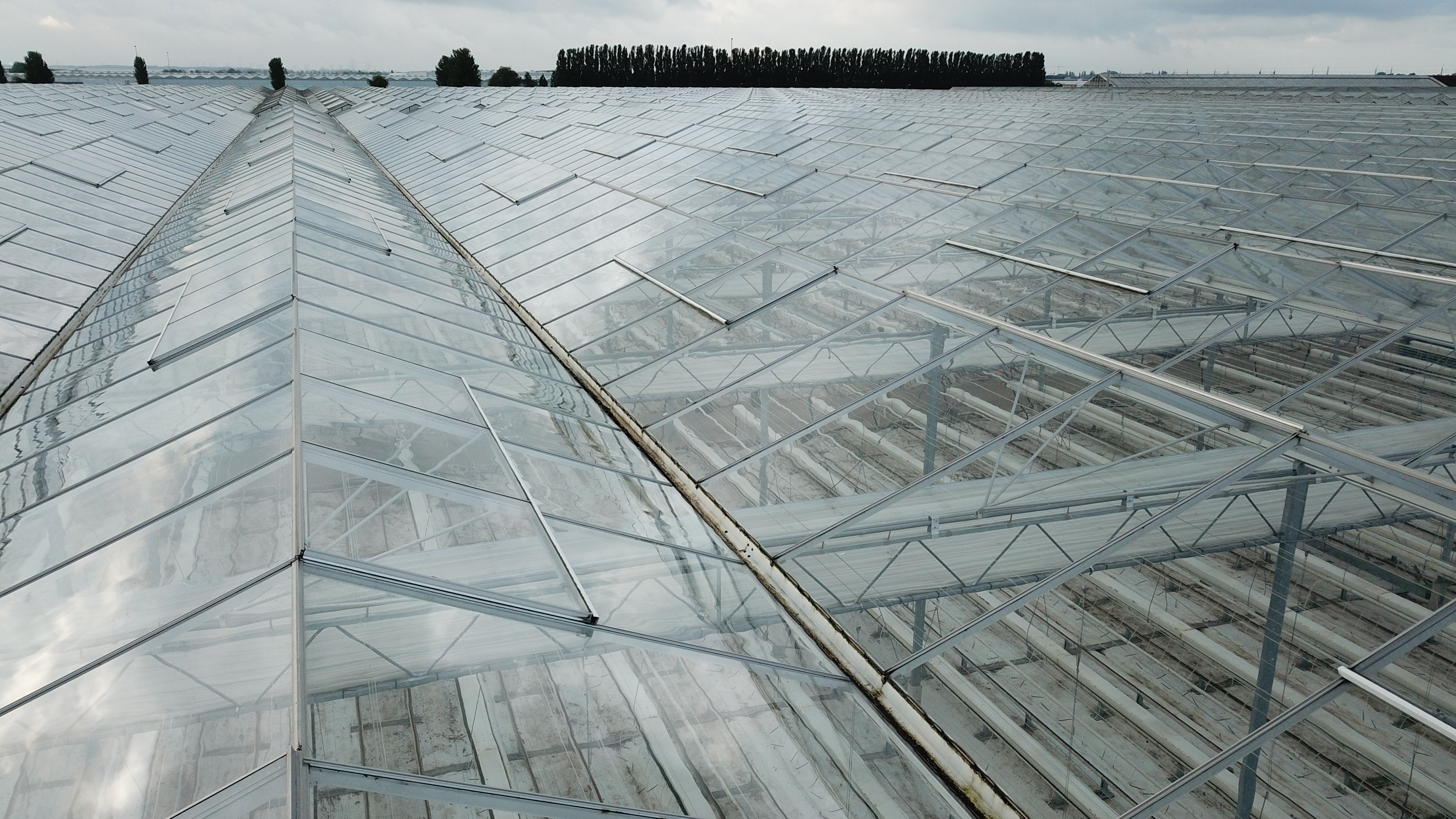 Venlo greenhouse 8,00 m 9.936 m²