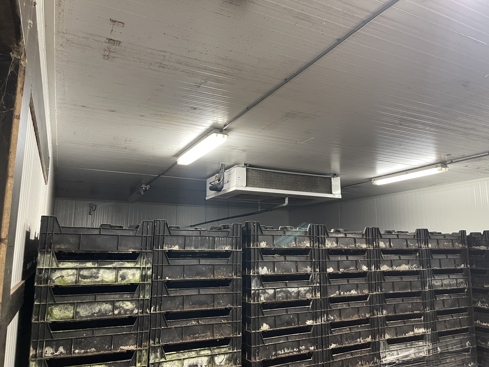 Cold room 774 m³ / 245 m²