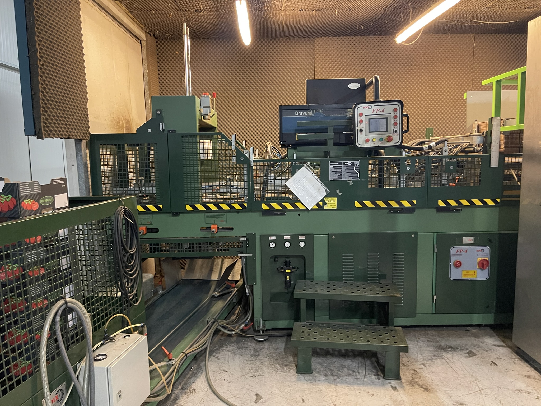 Complete vine tomato processing system