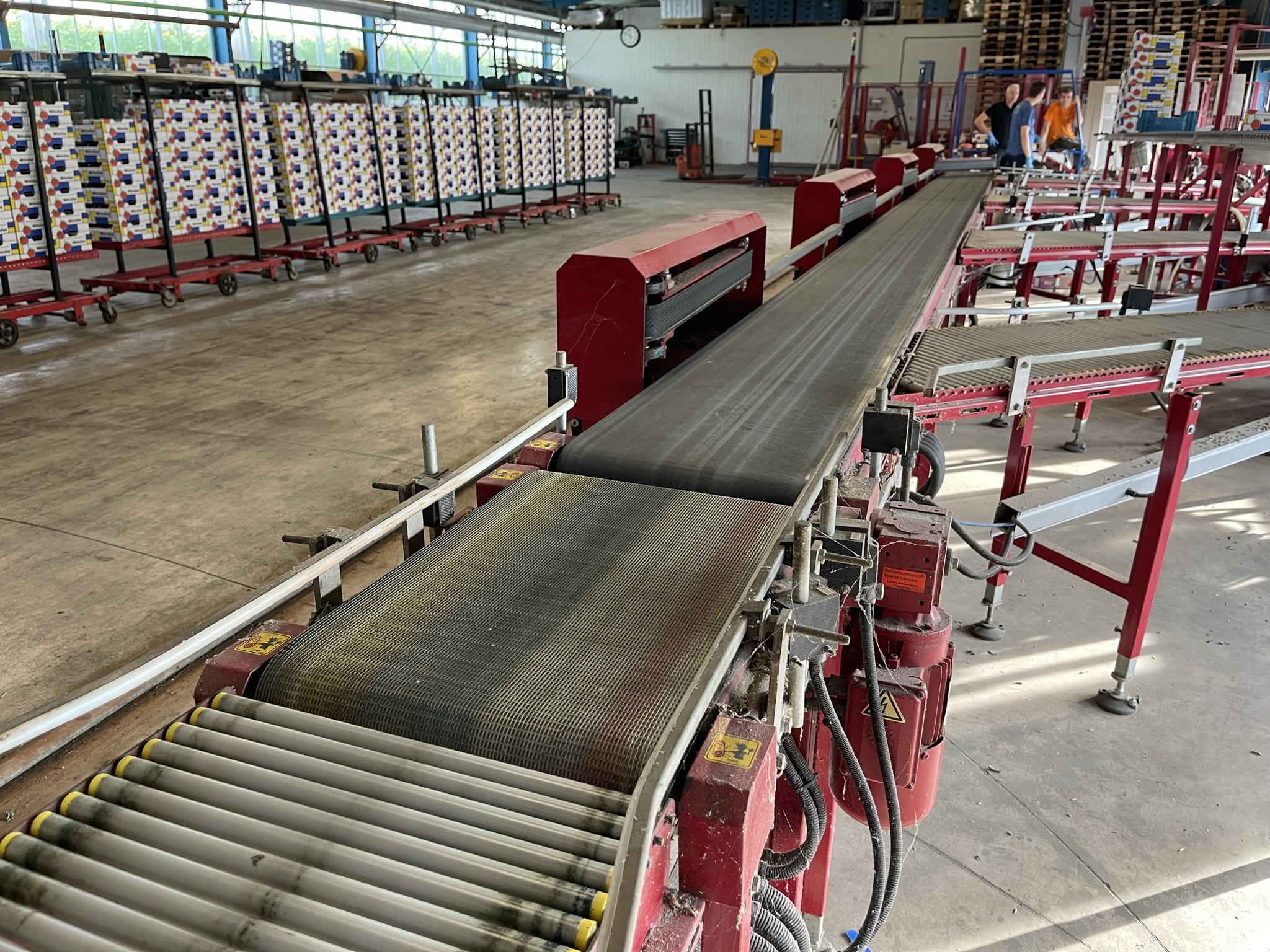 Complete Taks TTS vine tomato processing system + palletizing installation