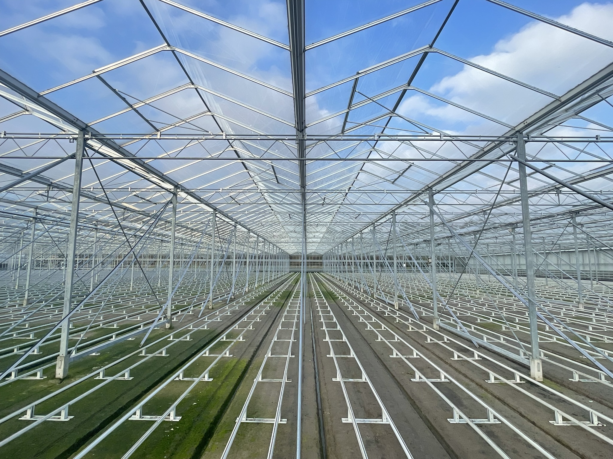 Venlo kas 8,00 m 19.008 m²