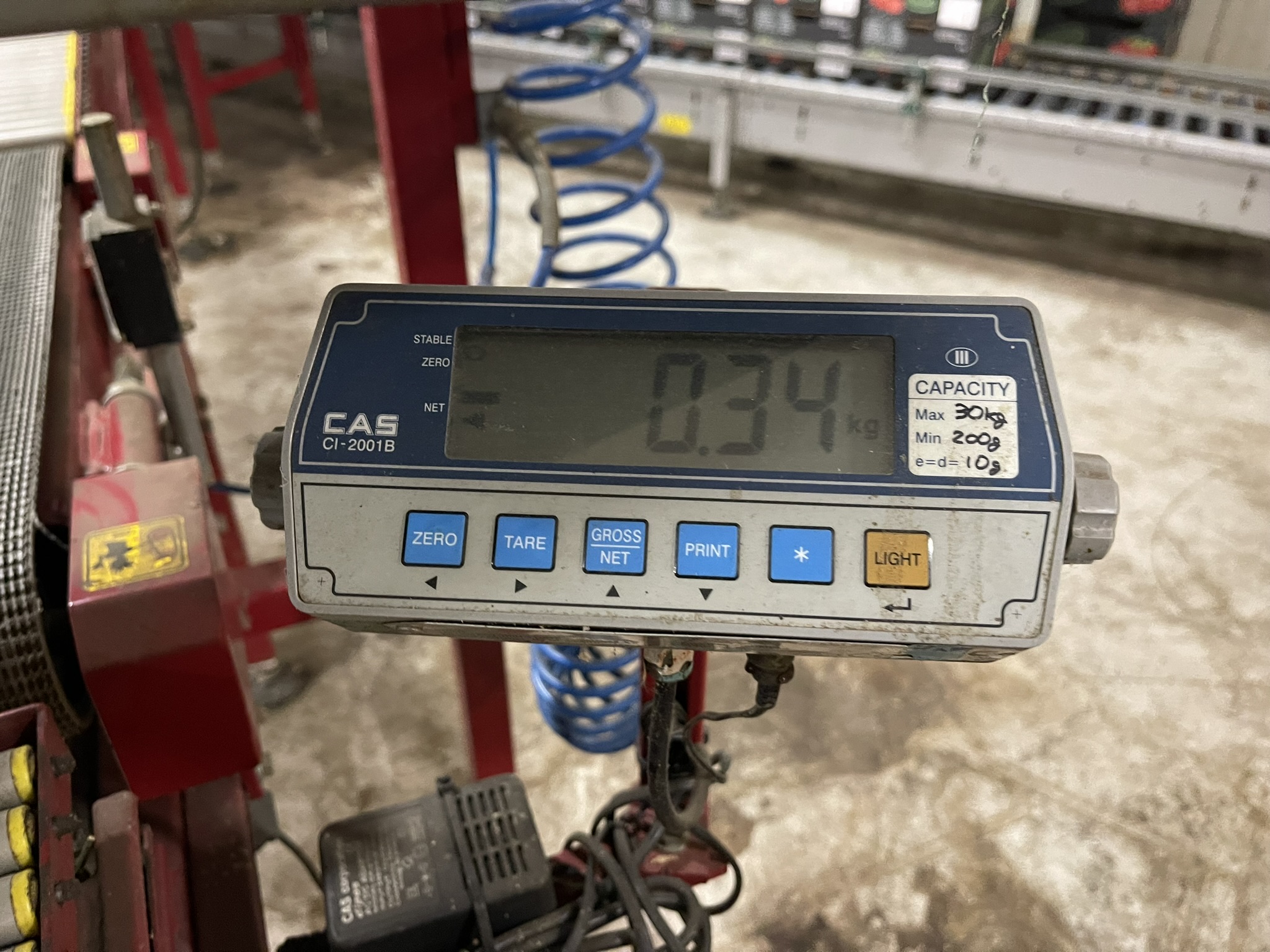 Complete Taks TTS vine tomato processing system