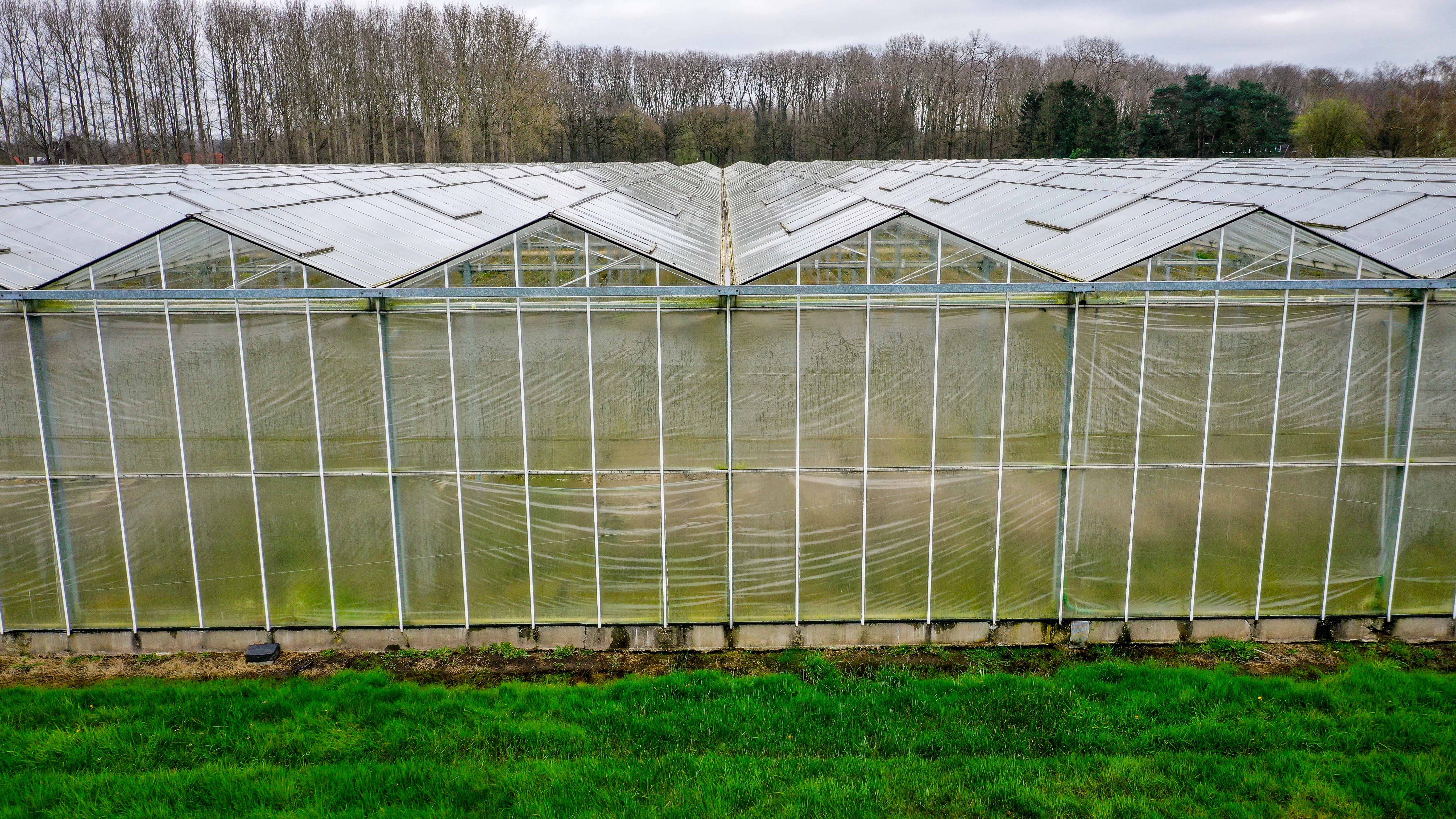 Venlo kas 8,00 m 15.300 m²