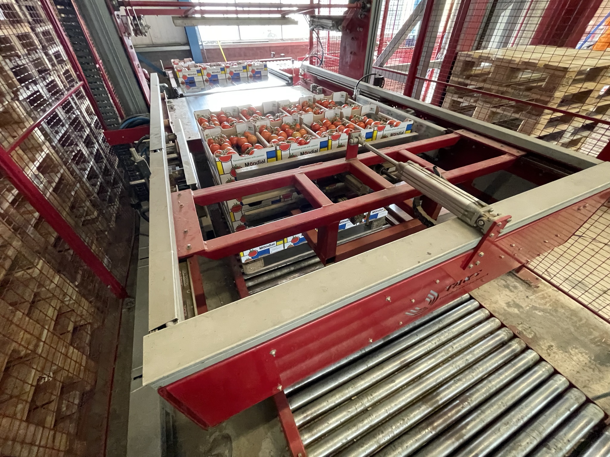 Complete Taks TTS vine tomato processing system + palletizing installation