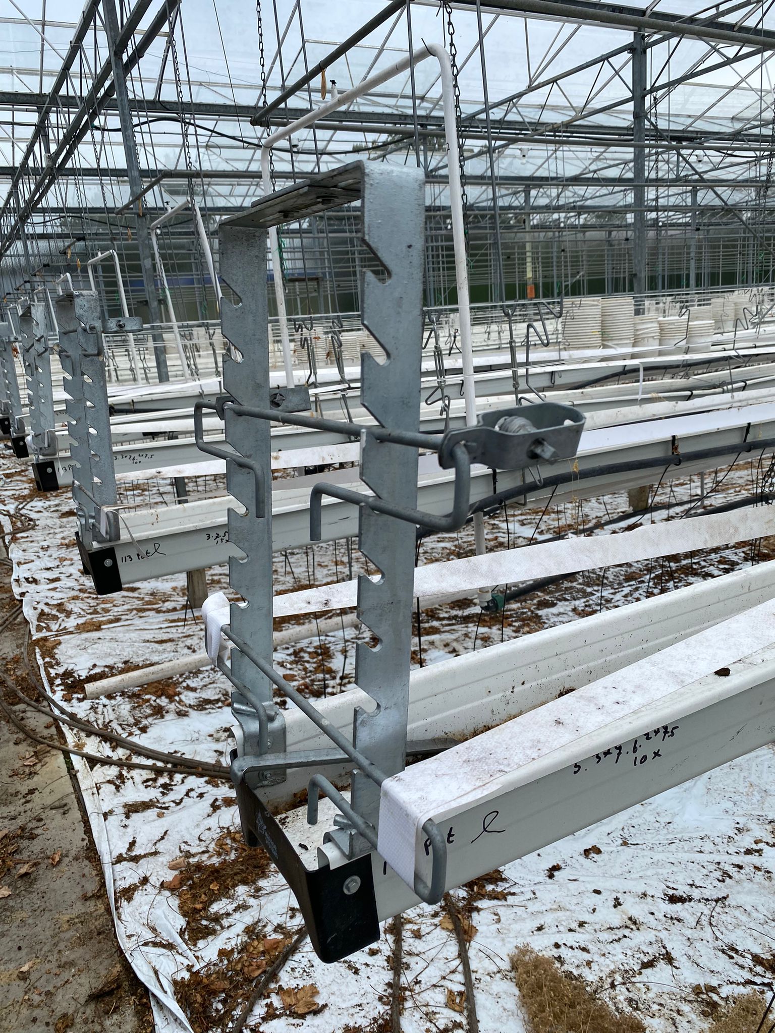 Compleet aardbeien teeltsysteem