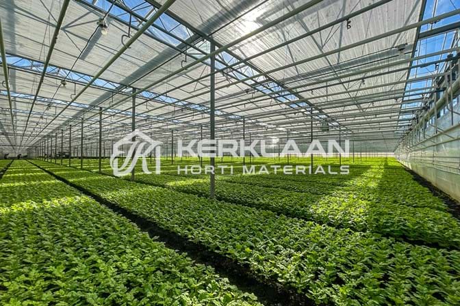 Venlo greenhouse 6,40m 11.251 m²