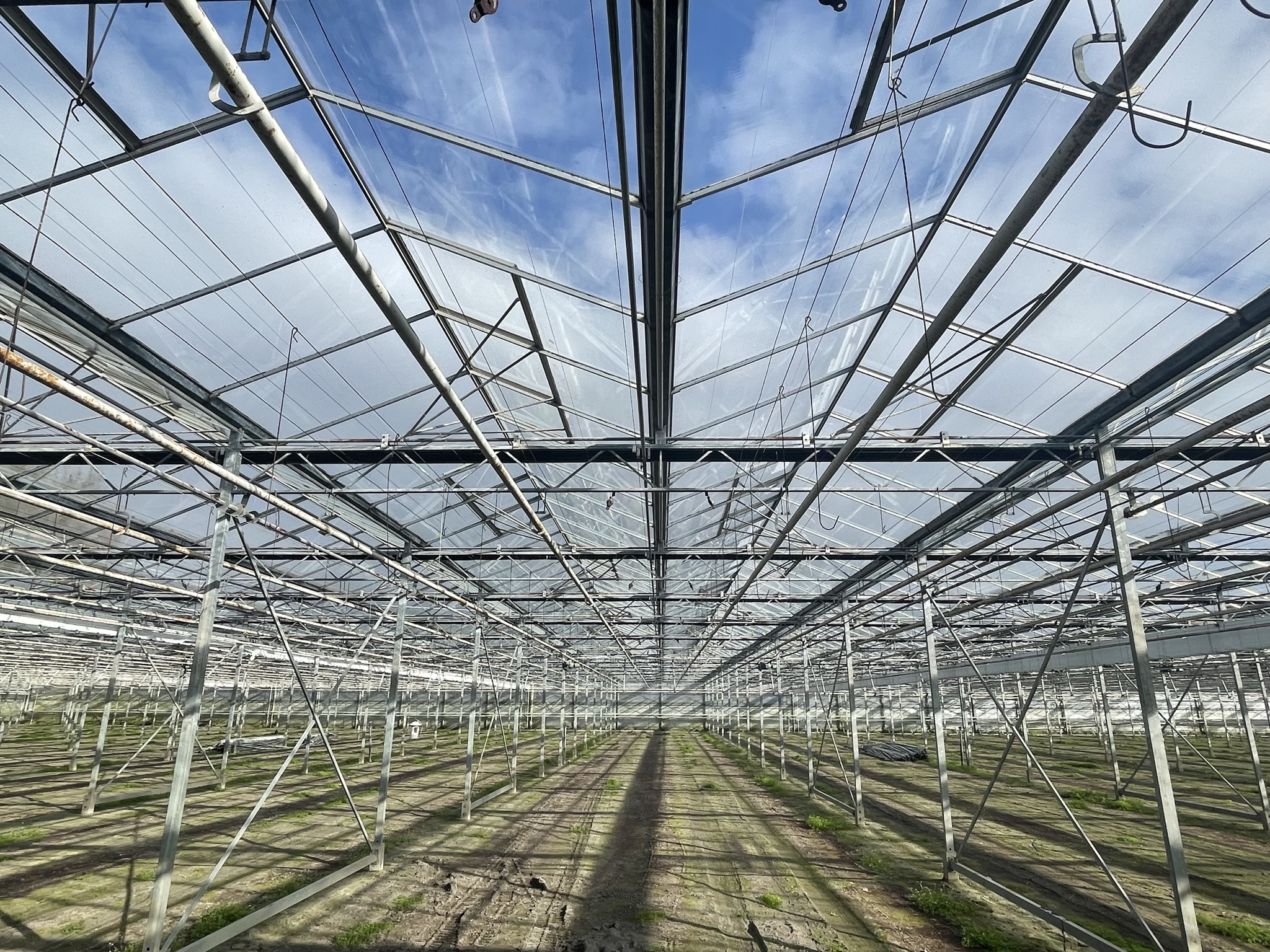 Venlo greenhouse 6,40 m 15.514 m²