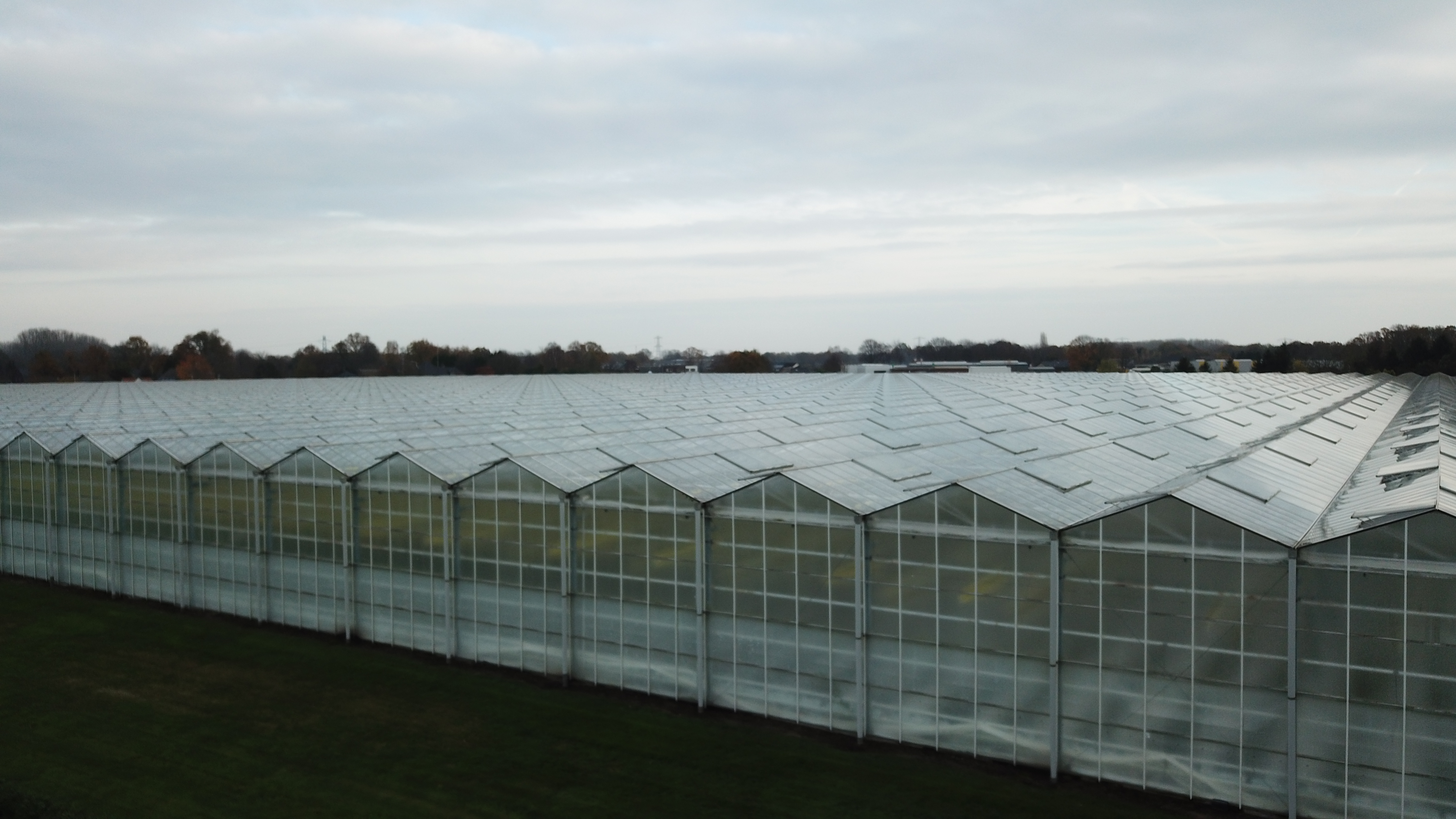 Venlo kas 8,00 m 36.543 m²