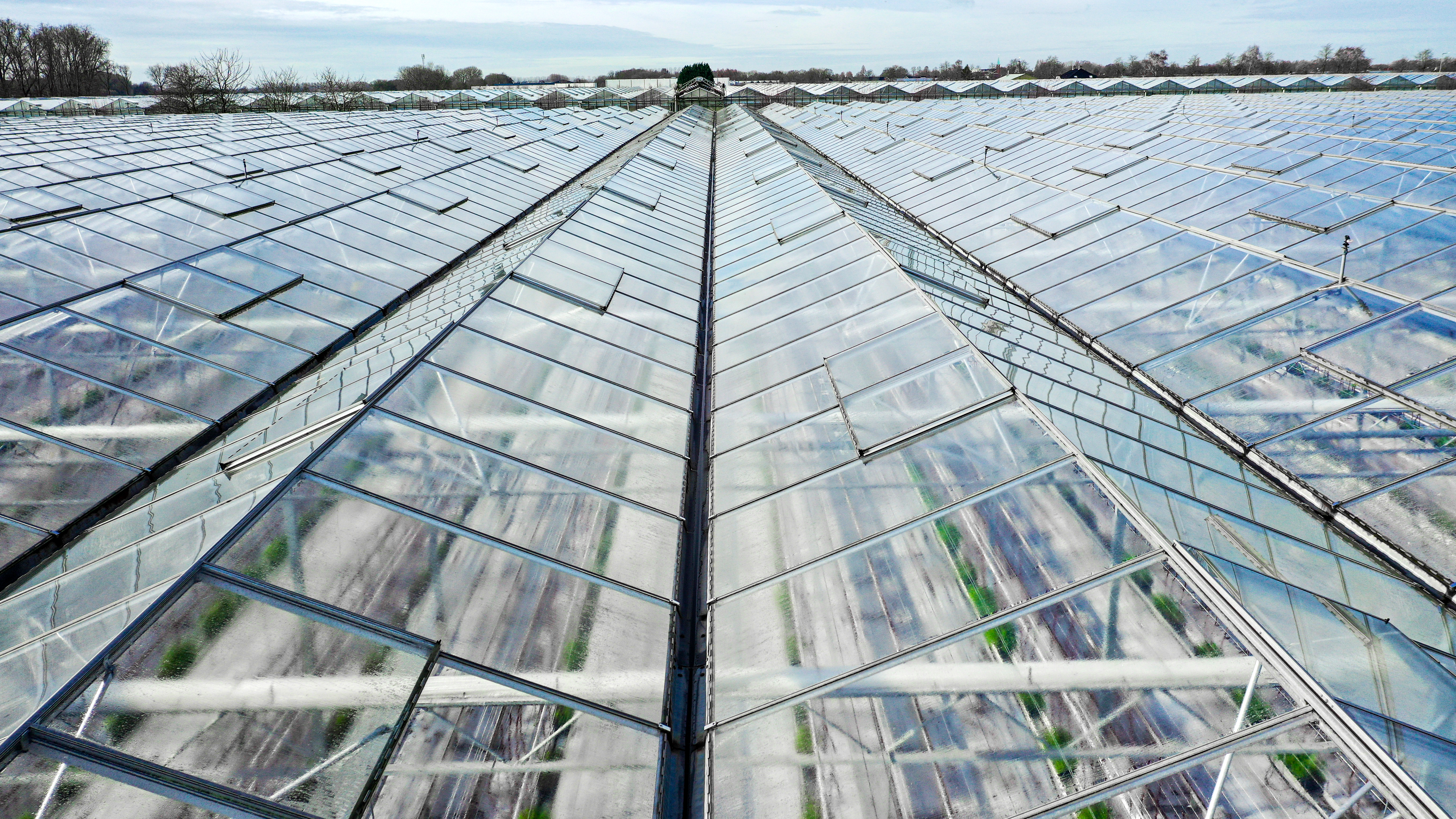 Venlo greenhouse 6.40 m 24.371 m²
