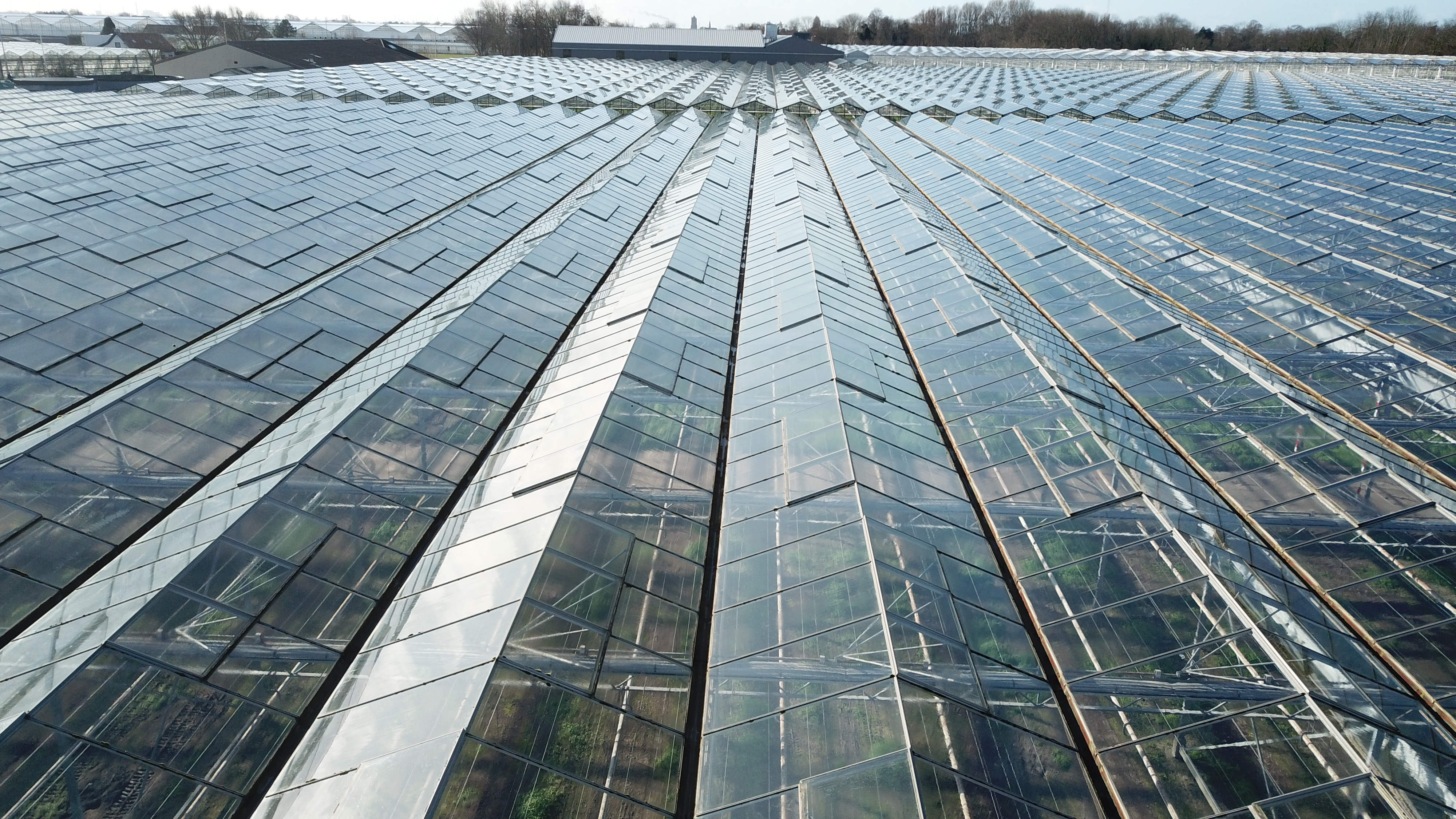 Venlo greenhouse 6,40 m 15.514 m²