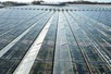 Venlo greenhouse 6,40 m 15.514 m²
