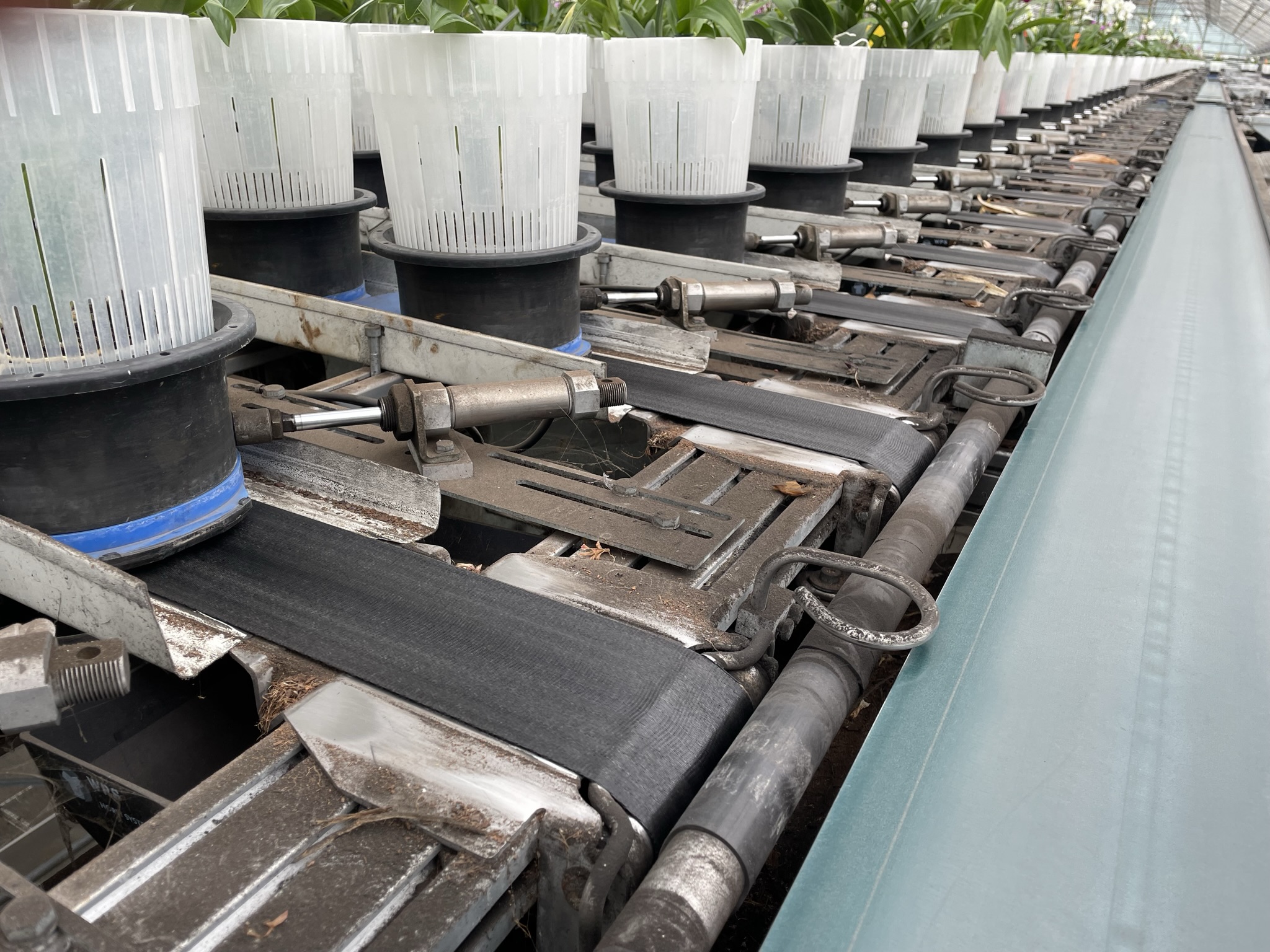 Various loose parts WPS delivery, sorting and buffer system