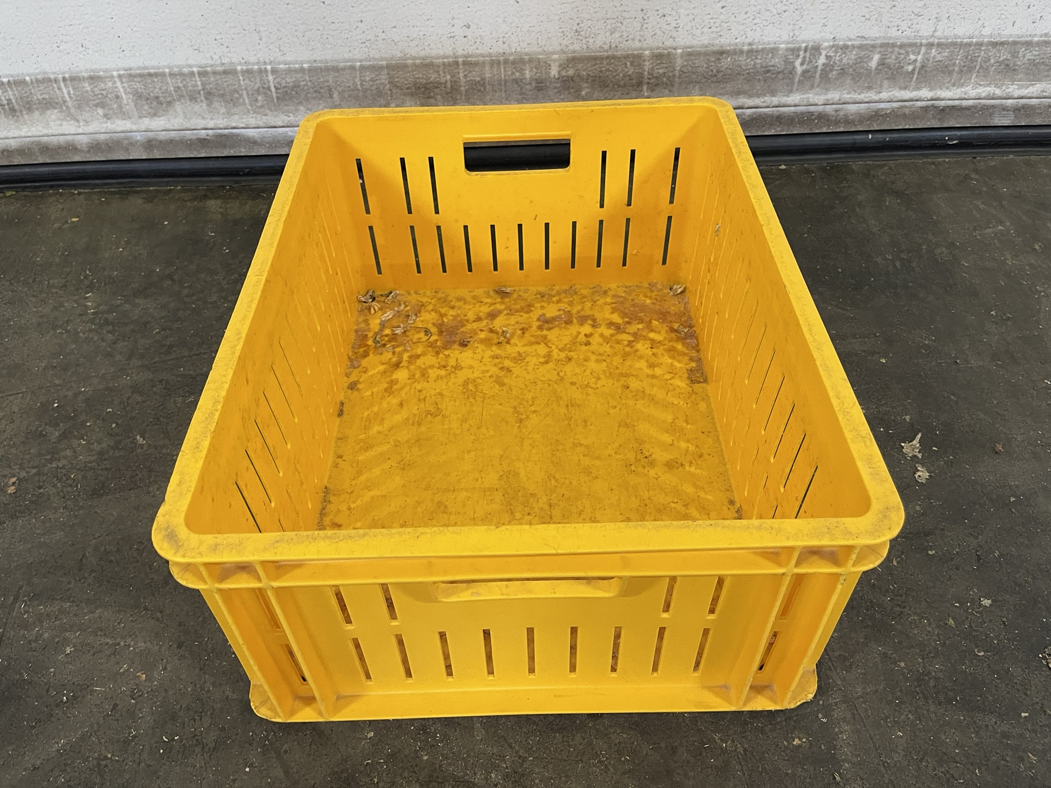 Cucumber harvest boxes