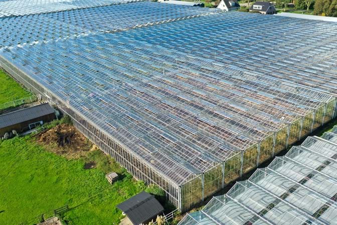 Venlo greenhouse 8,00 m 3.680 m²