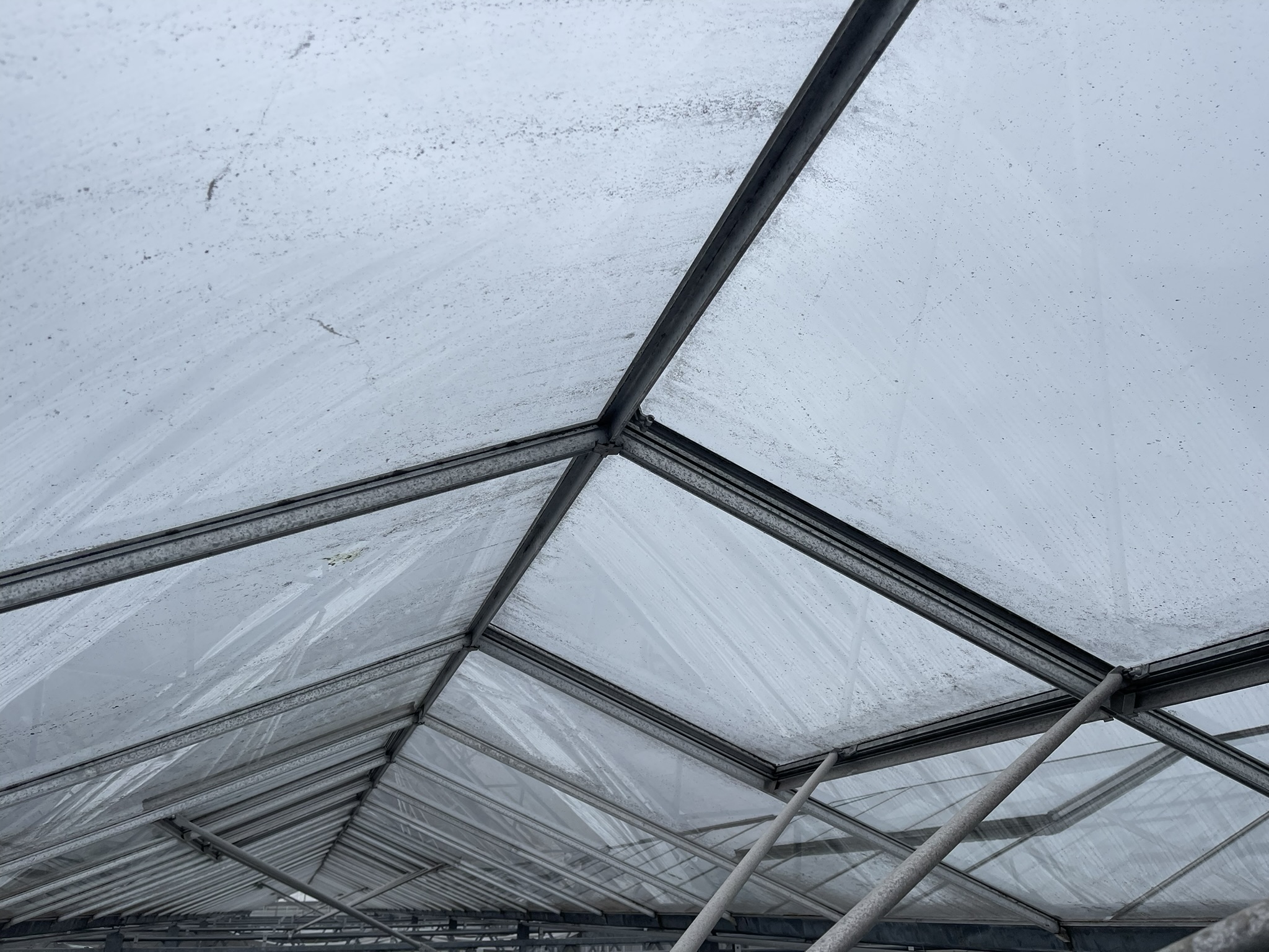 Venlo kas 12,80 m 3.008 m²