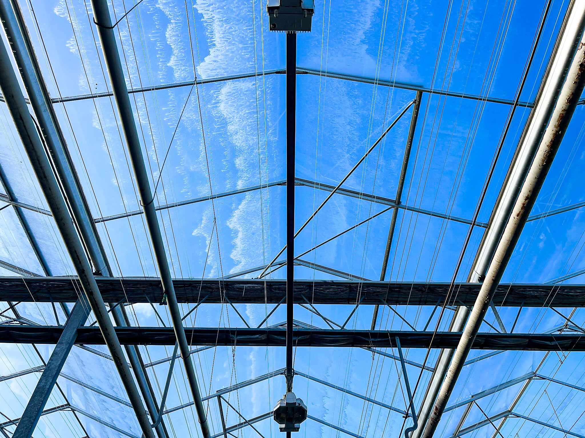 Venlo greenhouse 12,00 m 33.180 m²