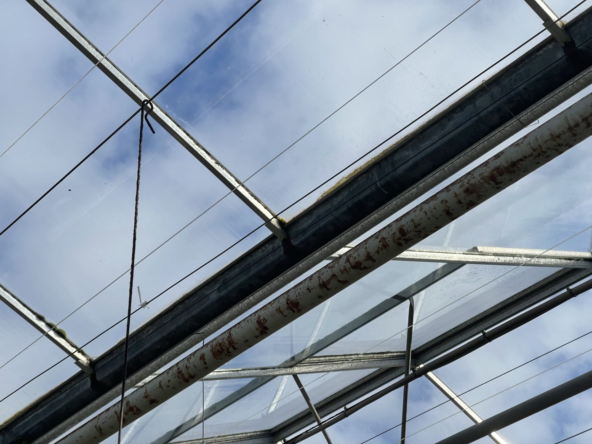 Venlo greenhouse 6,40 m 15.514 m²