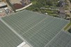 Venlo Greenhouse 8,00 m 10.448 m²