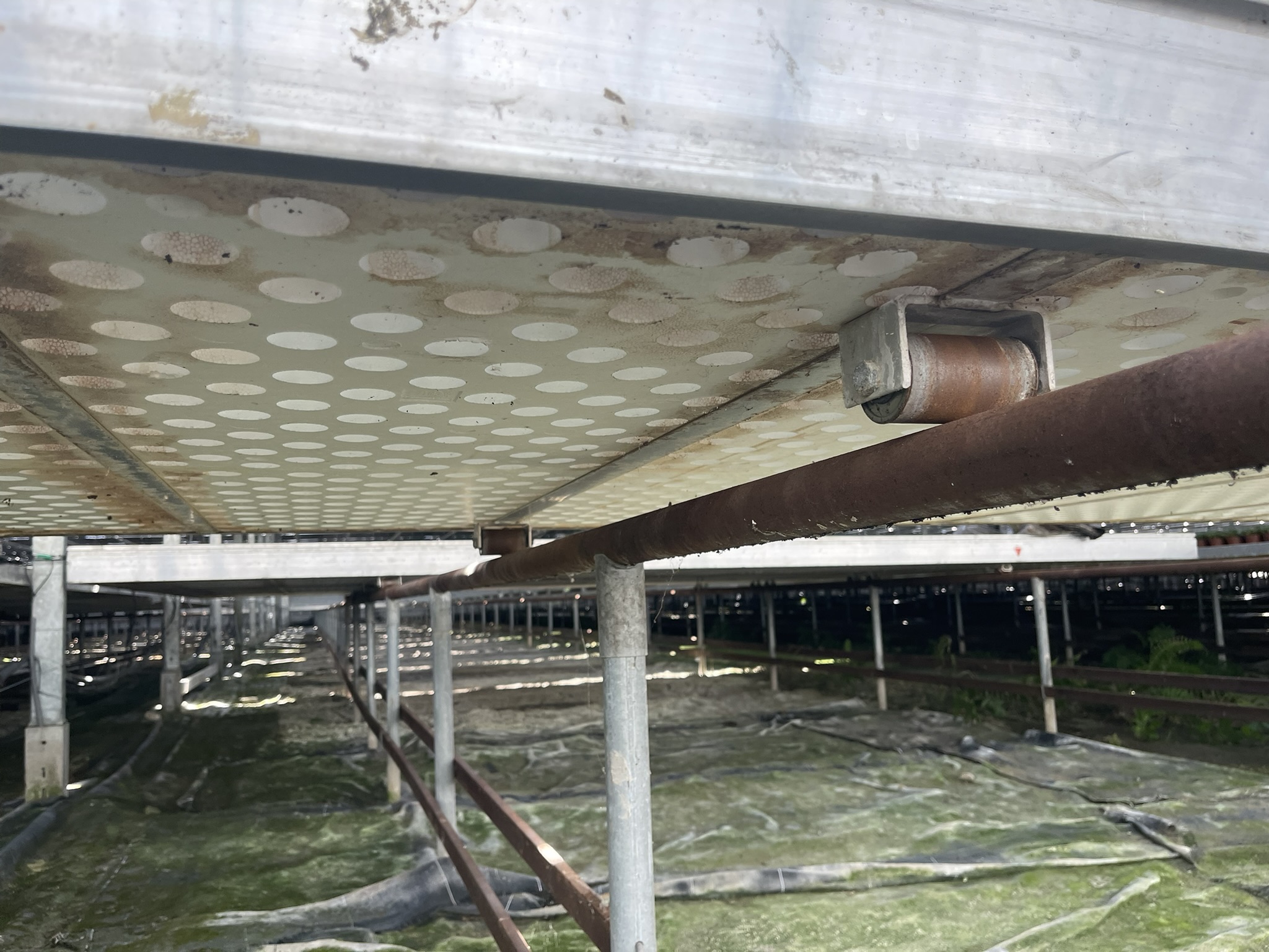 Aluminium rolcontainers incl. tempex bodem en bevloeiingsmat