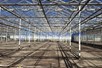 Venlo greenhouse 8,00 m 7.025 m²