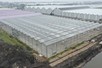 Venlo kas 12,80 m 3.008 m²