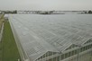 Venlo greenhouse 9,60 m 14.985 m²