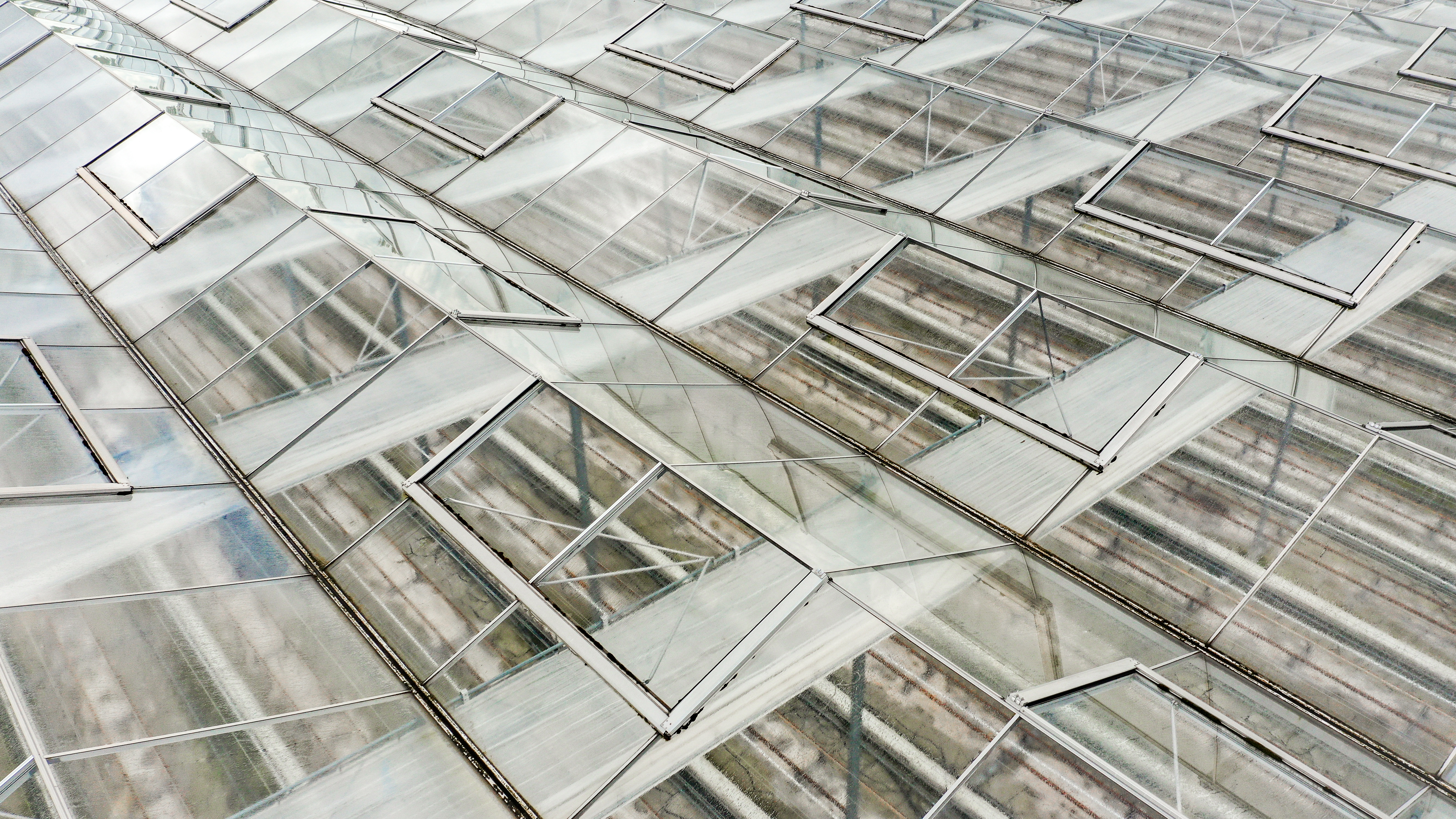 Venlo greenhouse 8,00m 17.100 m²