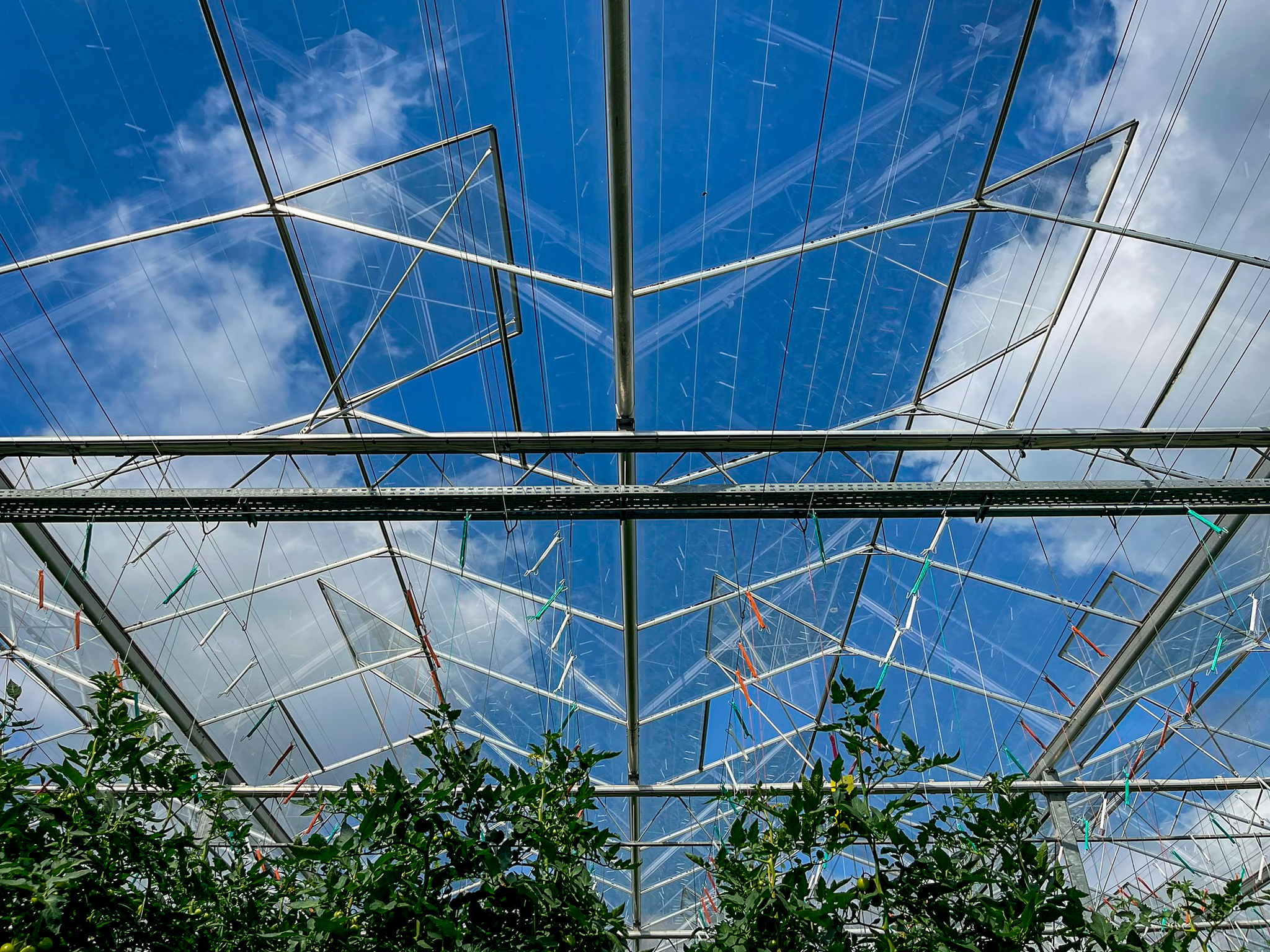 Venlo kas 8,00 m 40.752 m²