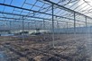 Venlo greenhouse 6,40 m 16.418 m²