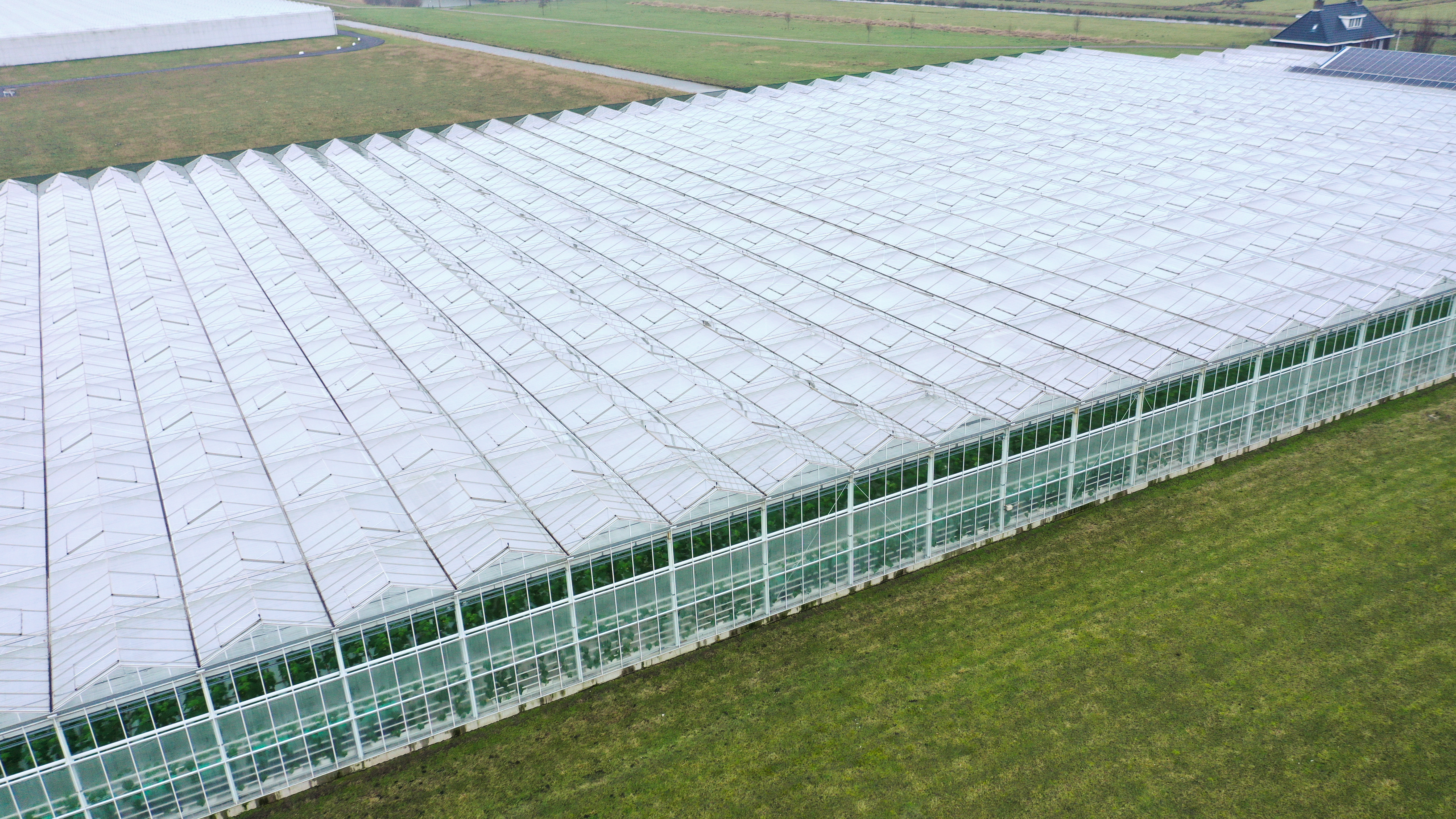 Venlo greenhouse 8.00 m 14.960 m²