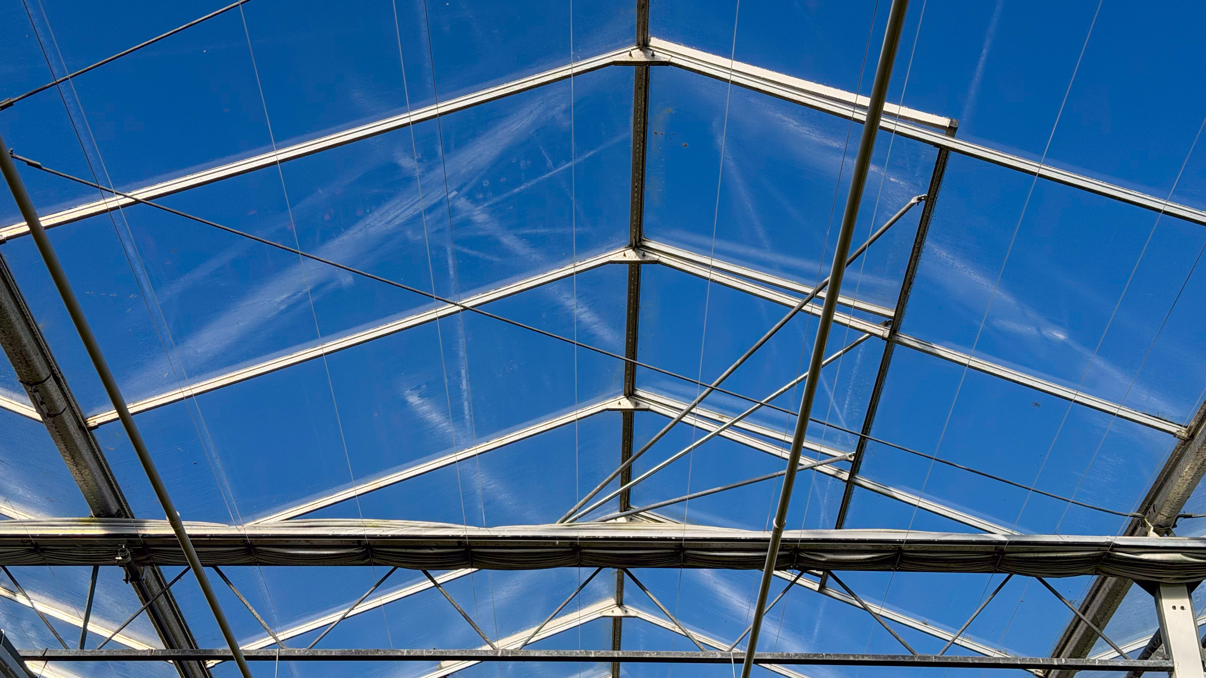 Venlo kas 8,00 m 31.440 m²