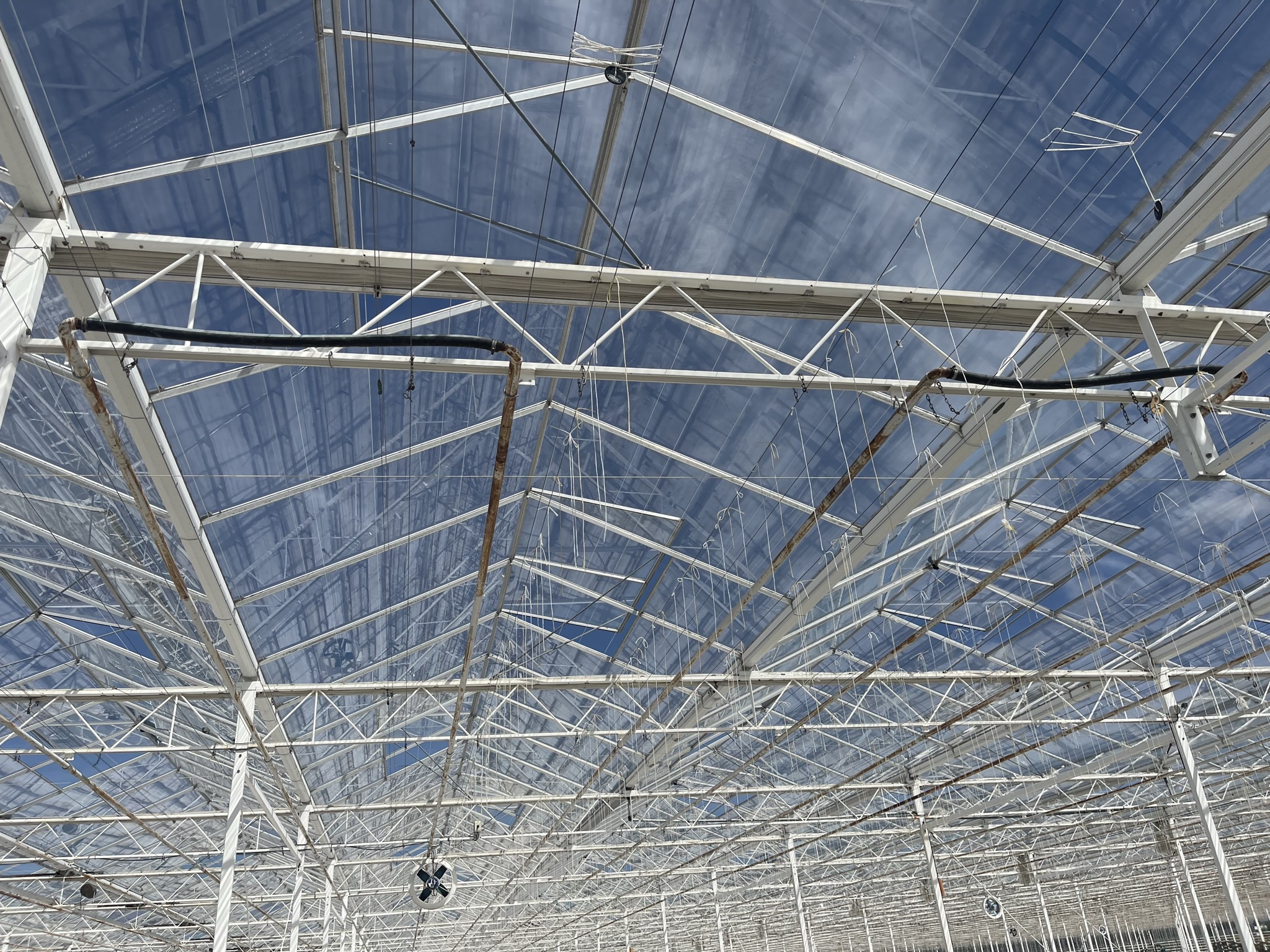 Verwarmingsbuizen 38 mm