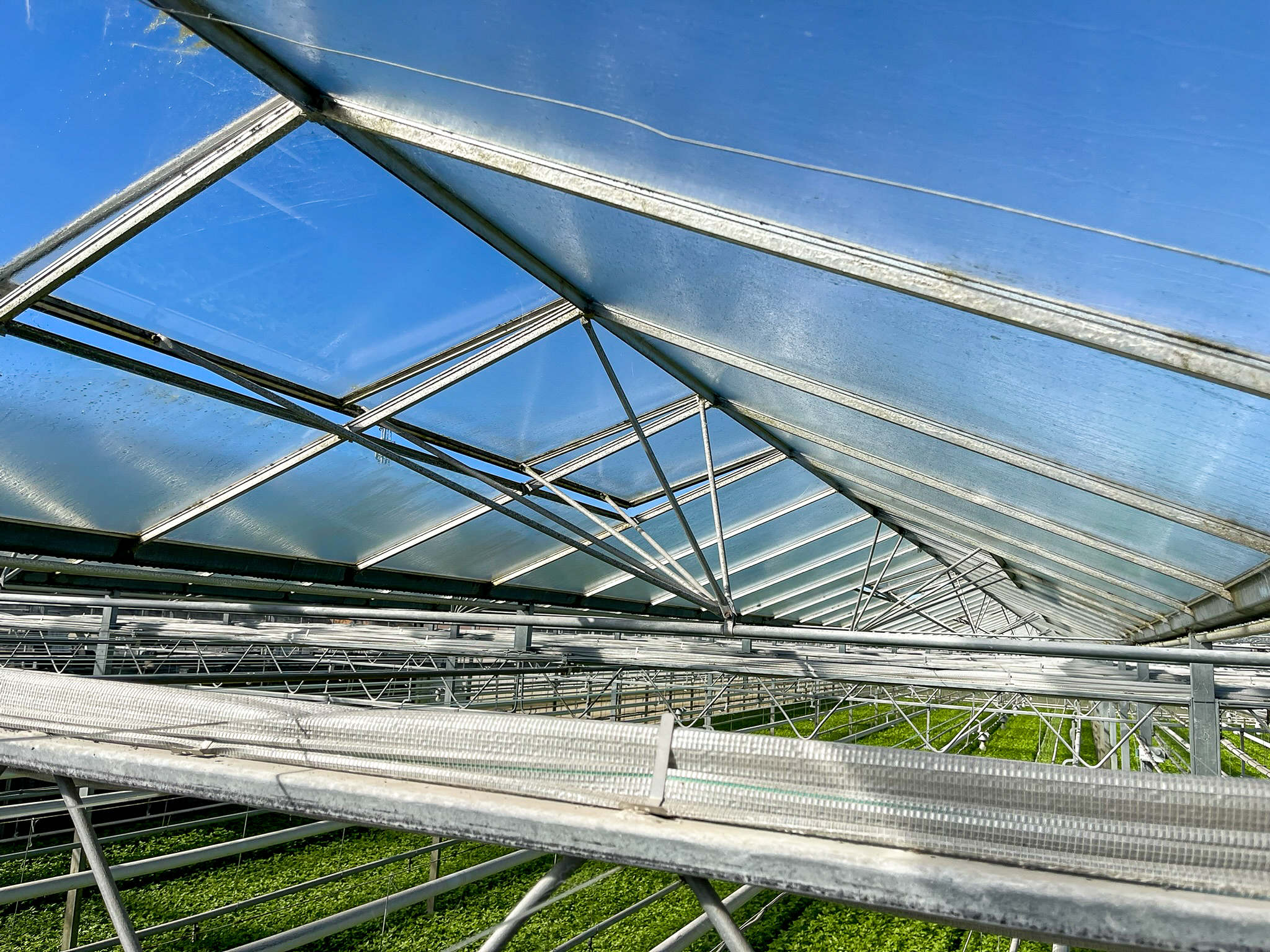 Venlo greenhouse 6,40m 11.251 m²