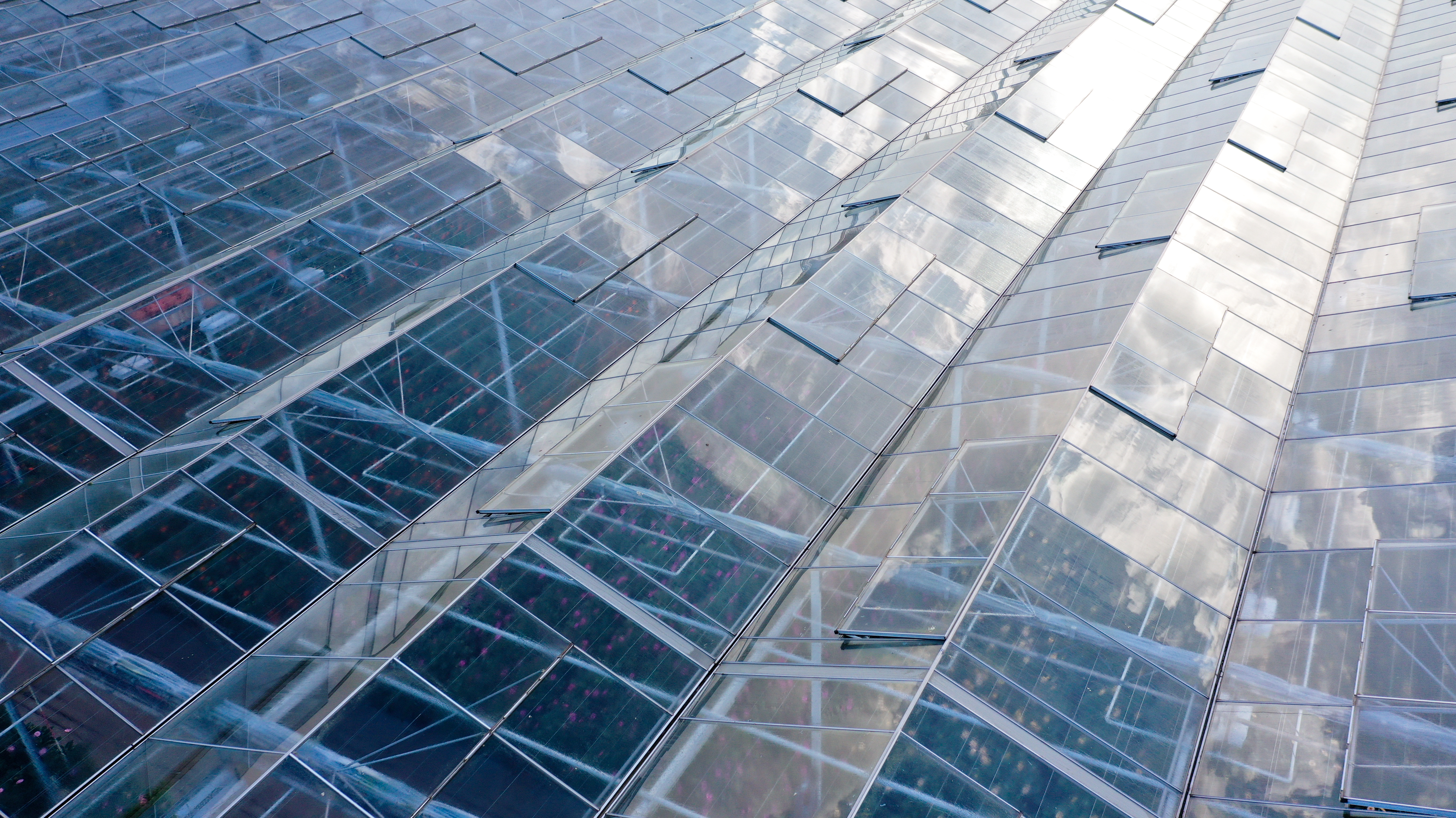 Venlo kas 8,00 m 31.440 m²