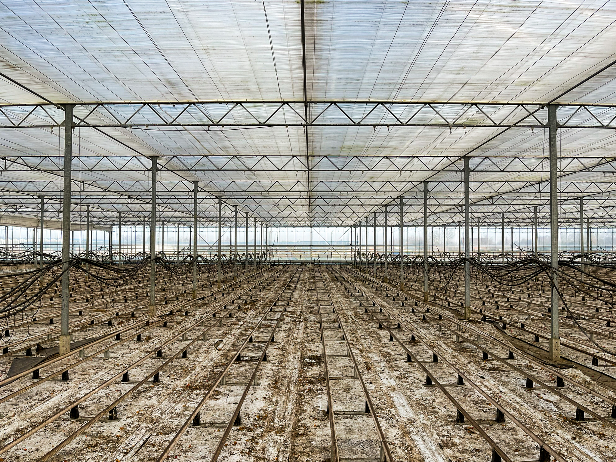 Venlo kas 8,00 m 22.248 m²