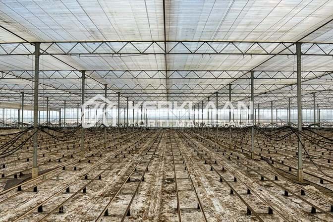 Venlo kas 8,00 m 22.248 m²
