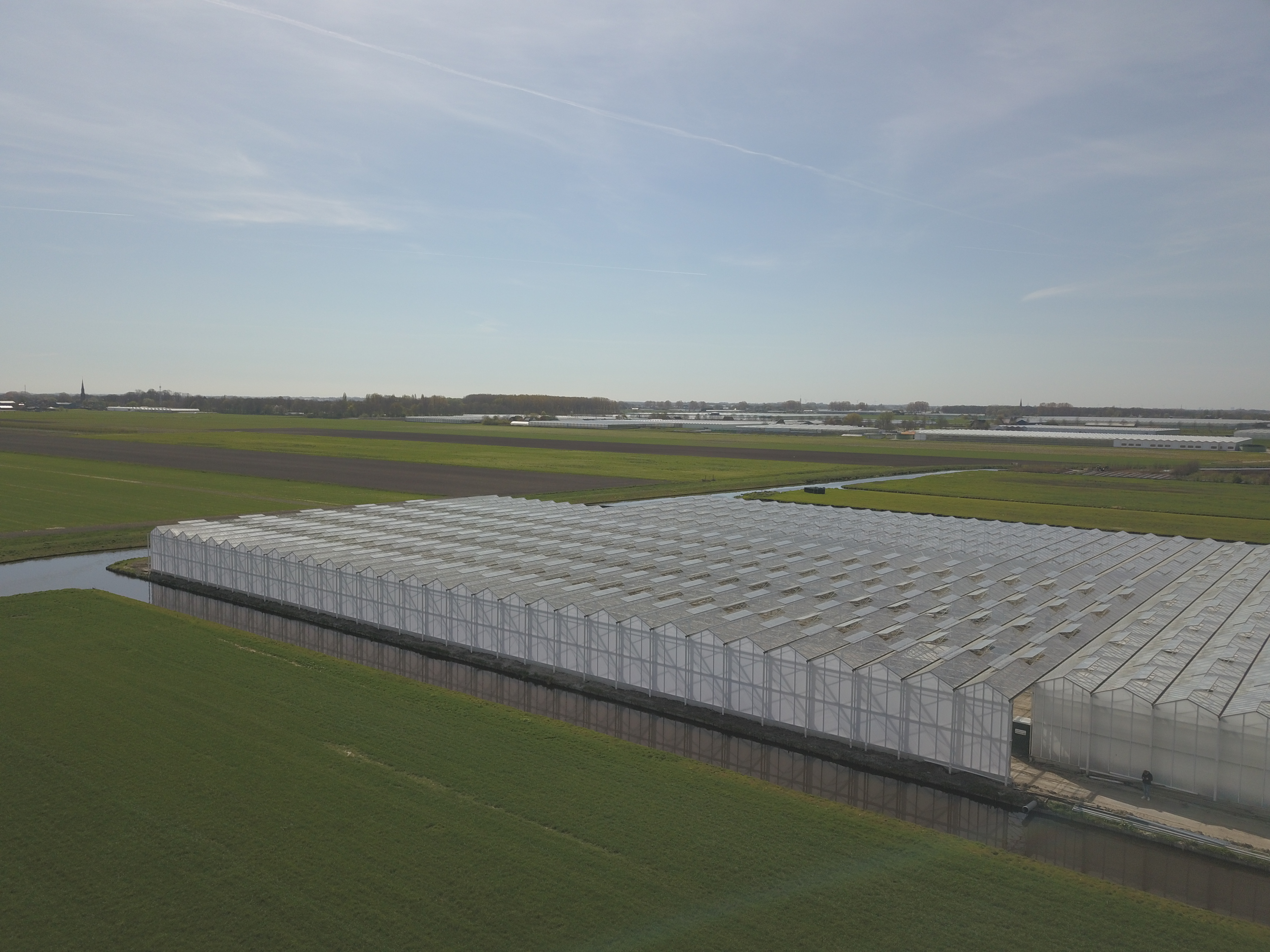 Venlo greenhouse 12,80 m 7.770 m²