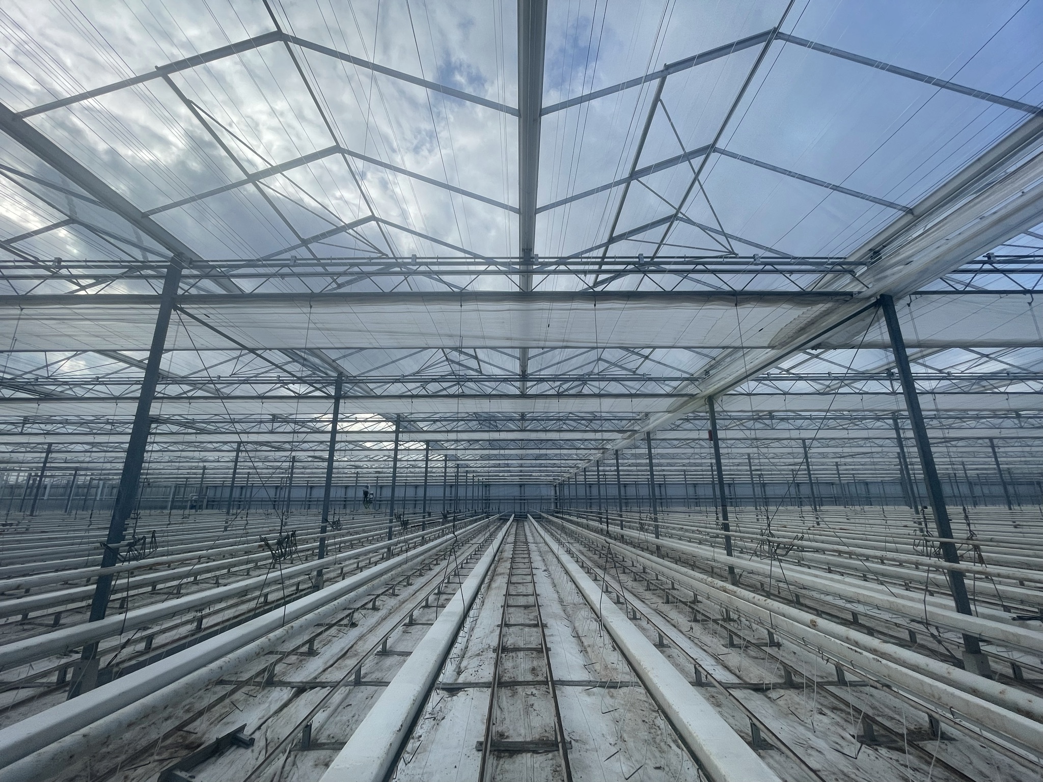 Venlo greenhouse 8,00 m 9.936 m²
