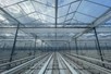 Venlo greenhouse 8,00 m 29.890 m²