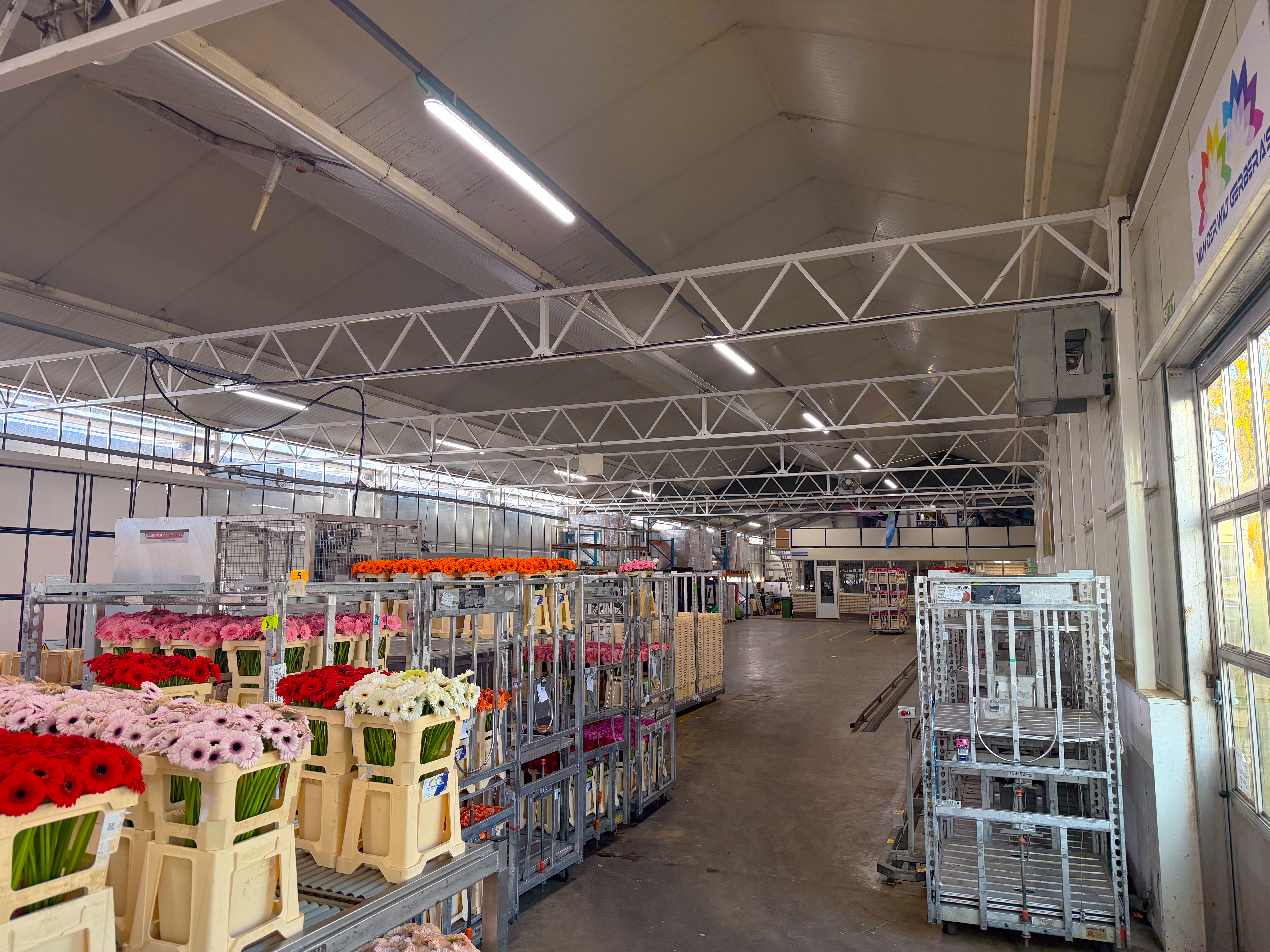 Business space 748 m²