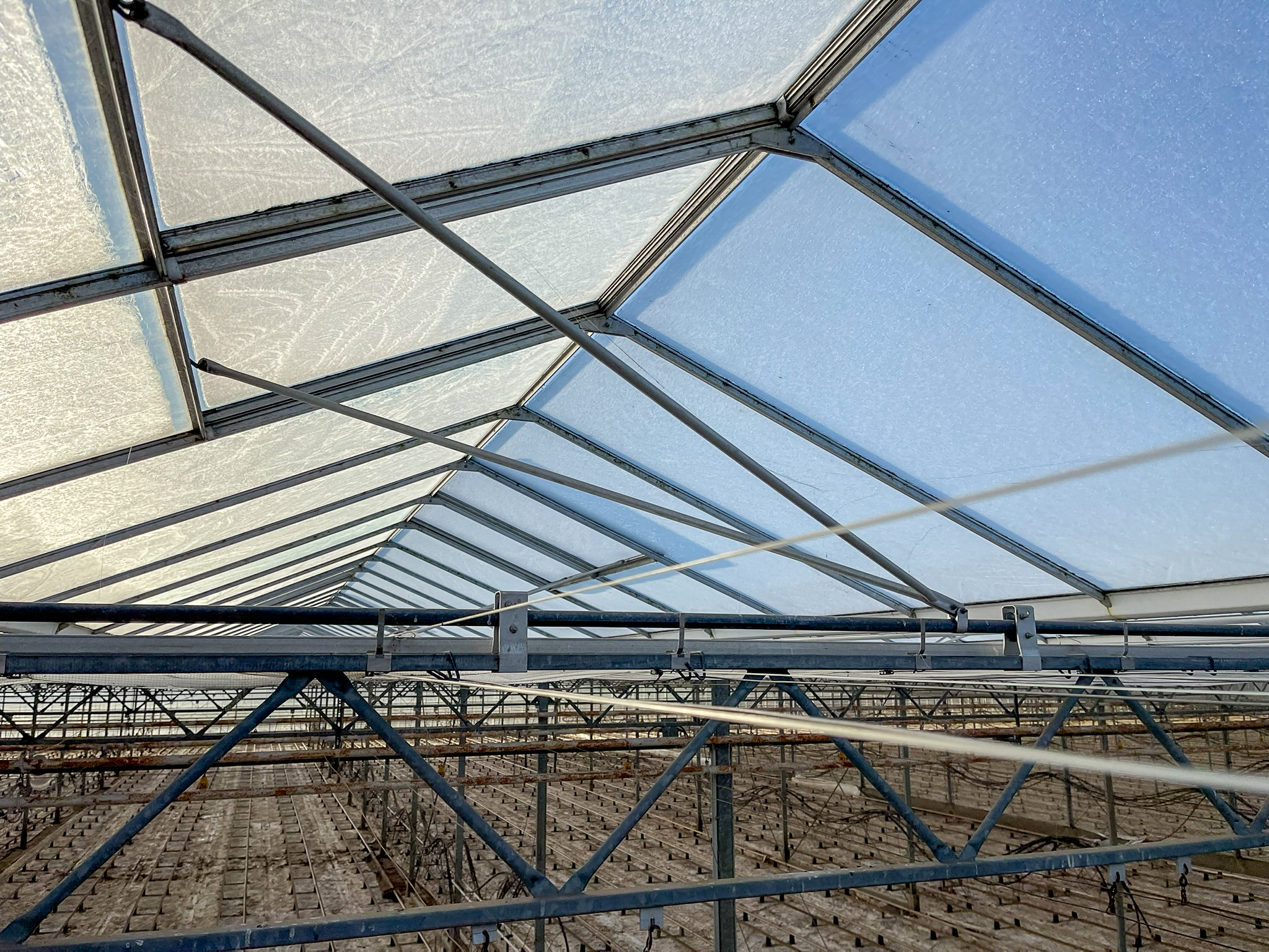 Venlo kas 8,00 m 22.248 m²