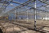 Venlo greenhouse 8,00 m 7.025 m²