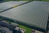 Venlo greenhouse 8,00 m 26.663 m²